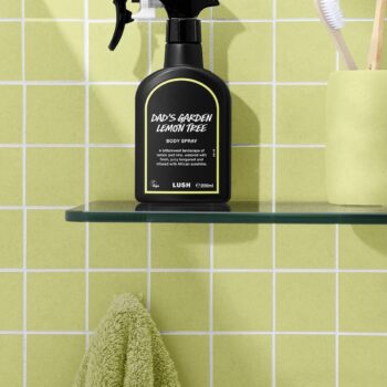 Dad's Garden Lemon Tree